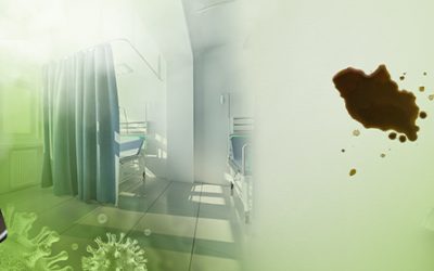 What is the Difference Between Cleaning, Sanitizing, and Disinfecting?