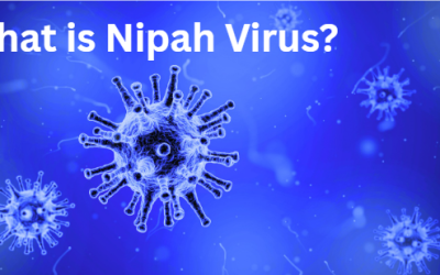 The World Health Organization cautions that the Nipah Virus continues to pose a significant public health risk.