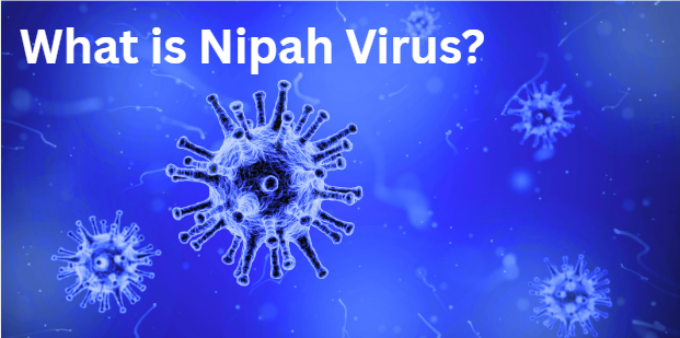 The World Health Organization cautions that the Nipah Virus continues to pose a significant public health risk.